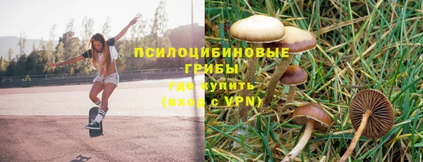 синтетический гашиш Алексеевка